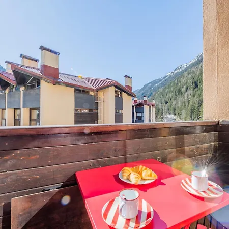 Grand Roc - Campanules 305 - Happy *